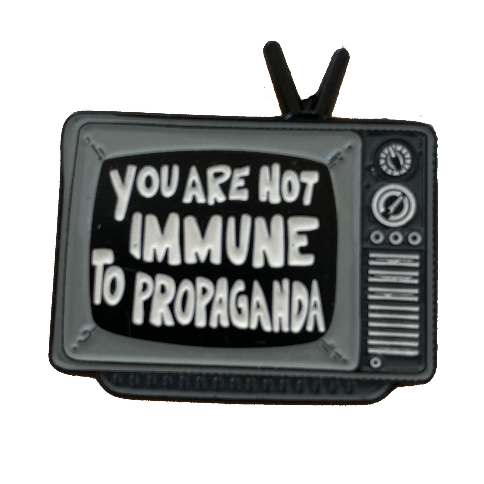 Pin's militants "You are not immune to propaganda"